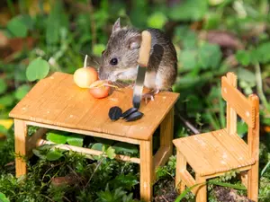 What do mice bring on a picnic?