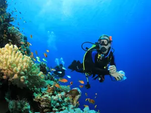 What do scuba divers wear to bed?