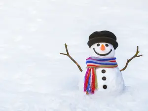 What do snowmen always order from Wendy's®?
