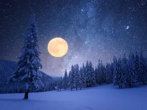 What do stars celebrate in December?