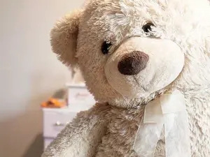 What do you call a bear with no teeth?