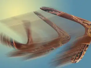 What do you call a boomerang that doesn't come back?