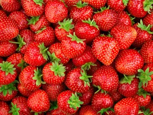 What do you call a depressed strawberry?