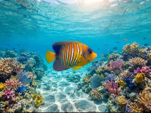 What do you call a famous fish?