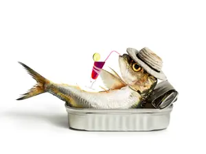 What do you call a fish without an eye?