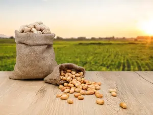 What do you call a peanut in space?