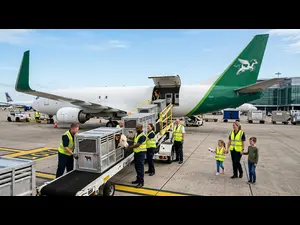 What do you call a plane full of bulls?