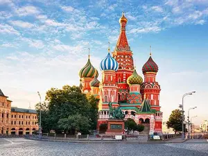 What do you call a Russian flea?