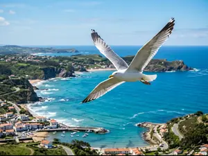 What do you call a seagull who flies over the bay?
