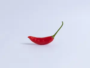 What do you call a small pepper in late autumn?