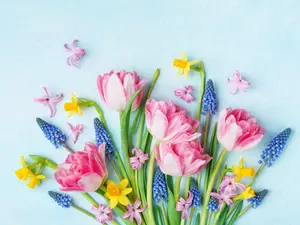 What do you call an emergency in the spring?