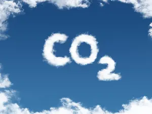 What do you call it when CO2 goes out to dinner?