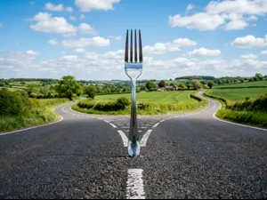 What do you do when you see a fork in the road?