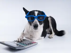 What do you get when you cross a dog and a calculator?