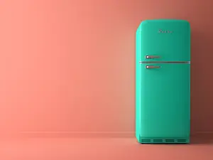 What do you get when you put a radio in a fridge?