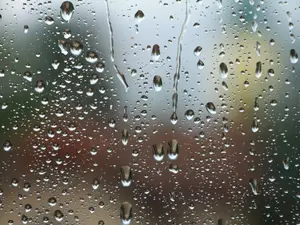 What do you say when it's raining chickens and ducks in the spring?