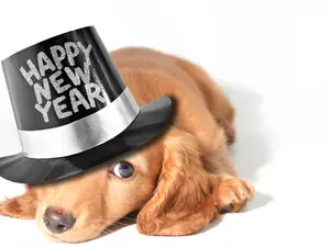 What do you say when you see someone after midnight on New Year's Day?