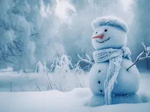 What does Frosty's wife put on her face at night?