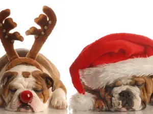 What does Rudolph call his wife?