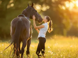 What does the horse say when a human greets him by saying hey?