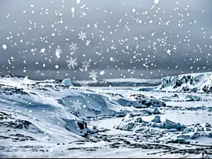 What drops all winter at the North Pole but never says ouch?