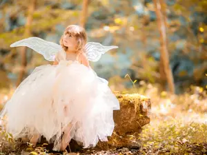 What fairy loves to count?