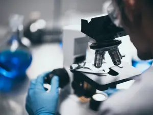 What famous scientist will try anything?