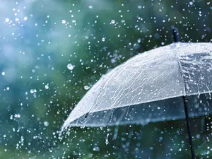 What goes up when spring rain comes down?