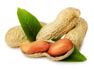 What happened when the peanut walked into a bar?