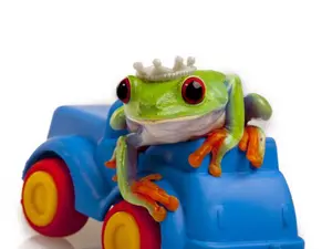 What happens when a frog's car dies?