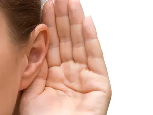 What has a lot of ears but can't hear a word you say?
