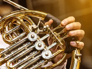 What horn never makes a sound?