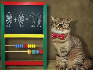 What is a cat's favorite math problem?