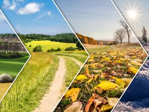 What is a competitive athlete's favorite season?