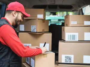 What is a mailman's favorite herb?