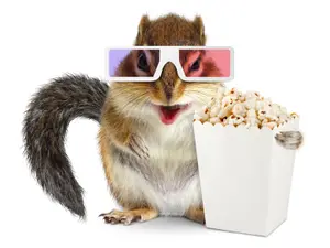 What is a squirrel's favorite way to watch TV?