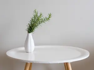 What is a table you can eat?