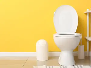 What is a toilet's favorite hand in poker?