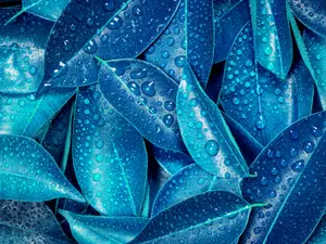 What is blue and not heavy?