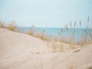 What is sand's favorite movie?