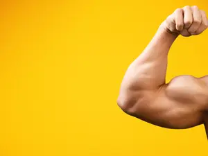 What is the strongest animal?