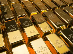 What is the wealthiest fish?