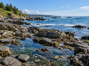 What keeps the ocean from leaking out?