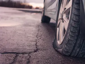 What kind of animal is great at fixing flat tires?