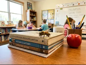 What kind of bee do teachers enjoy most?