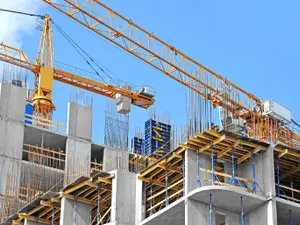 What kind of bird works at a construction site?