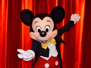 What kind of car does Mickey Mouse's wife drive?