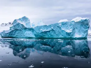 What outfit is appropriate for a dinner in the Arctic?