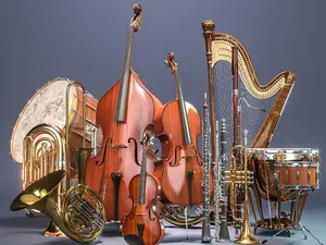 What part of the orchestra do rhinos play in?