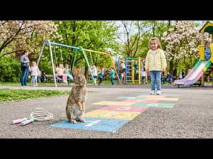 What playground game do rabbits dominate?